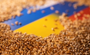 România e în centrul dezbaterilor de la Bruxelles despre cerealele ucrainene. Comisarul european, criticat de europarlamentari români