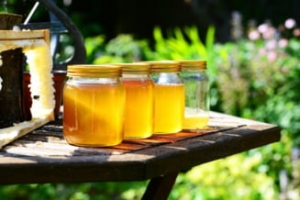 România importă miere contrafăcută și exportă miere de calitate în vrac: