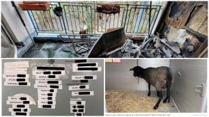 Românul care a îngrozit Berlinul: Polițiștii au spart ușa casei ororilor și au înghețat când au văzut sângele și cadavrele