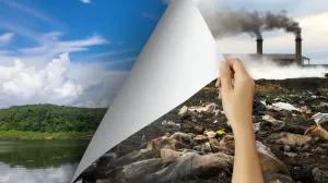S-a constatat că ouăle ecologice poluează de două ori mai mult în realitate după ce ani de zile produsele eco si bio au fost promovate ca vor salva Omenirea
