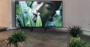 Sex cu plante în programul