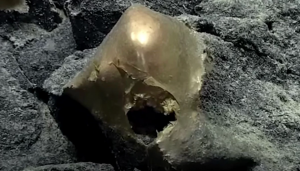 Sferă misterioasă, descoperită pe fundul Oceanului Pacific: „Este ca începutul unui film de groază