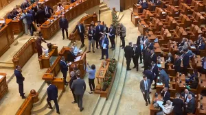 Siegfried Mureșan a primit o mentă în ghiveci: „Să aveți ce freca la Bruxelles