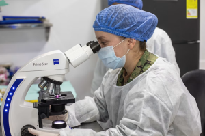 Trenduri noi în echiparea laboratoarelor: lame de microscop avansate, consumabile smart și automatizare pentru un laborator performant
