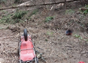 Un bărbat a murit după ce i-a căzut un copac în cap într-o pădure din Crăcăoani din județul Neamț