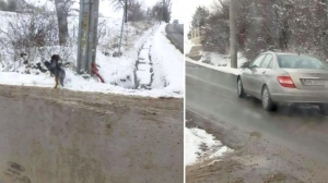 Un cățeluș a fost abandonat în ger de o profesoară de limba română din Bistriţa: