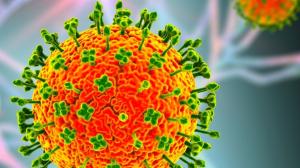 Un nou virus amenință lumea cu o pandemie: Simptomele bolii, mortalitate de 75%, fără vaccin și tratament
