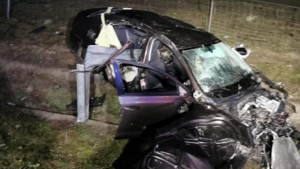 Un om a murit după ce mașina pe care o conducea a lovit un câine pe A2