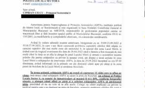 Un om moare sfâșiat de câini și instituțiile se bat în comunicate. ASPA acuză Sectorul 6 ca i-a împiedicat să ia animalele