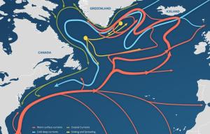 Un scenariu climatic care îngrijorează Europa. Ce s-ar întâmpla dacă circulația marilor curenți ai Atlanticului ar încetini dramatic
