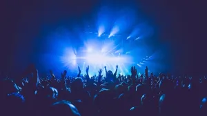 Un studiu inedit explică ce se întâmplă în creierul celor care asistă la un concert live
