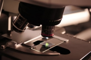 Unui cercetător de la UBB Cluj ar putea revoluţiona medicina cancerului:
