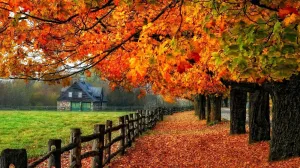 Vezi ce fel de toamnă o să avem după El Nino și La Nina: Meteorologii au emis prognoza pe termen lung - nici pre rău, dar nici bine!
