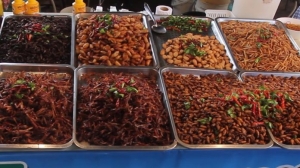 Viermuială la UE: In 2023 CE va aproba incă 8 insecte