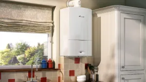 Visul umed al Ursulei: A apărut un combustibil care va revoluționa sistemul de încălzire actual prin stocarea luminii și eliberarea treptată de căldură