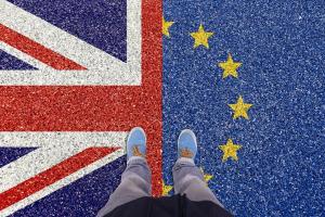 Zece ani de la referendumul pentru Brexit: Câți europeni și câți britanici susțin revenirea Marii Britanii în UE SONDAJ
