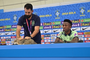 "Blestemul pisicii" a nenorocit Brazilia: Coincidențe stranii s-au petrecut din acest moment
