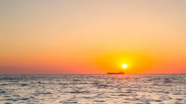 În Marea Neagră a apărut un nou prădător feroce: Se aclimatizează ciudat de repede și va provoca probleme foarte mari
