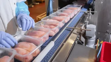 80% din primul lot de pui brazilian importat în UE prin acordul Mercosur, contaminat cu Salmonella
