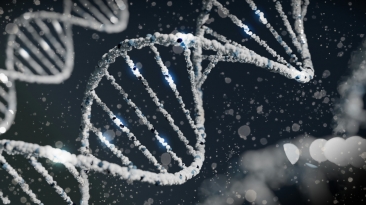 ADN-ului uman dezvăluie detalii despre cum trăiau oamenii în urmă cu sute de ani. Cine au fost nomazii proveniți din stepa mongolă care s-au stabilit în Europa

