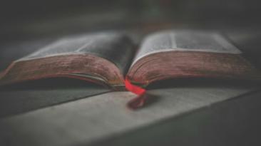 Biblia, Coranul, Tora. Ce spun cele trei cărți fundamentale ale principalelor religii monoteiste ale lumii despre război