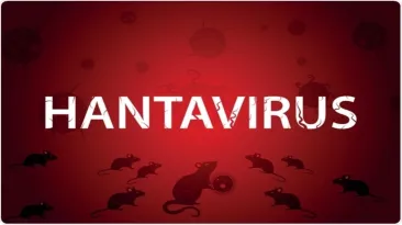 Cât de îngrijoraţi ar trebui să fim în privinţa hantavirusului - OMS: "Nu este Covid, nu este gripă, se transmite foarte, foarte diferit"
