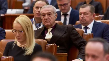 CCR, lovitură pentru Gigi Becali: Pierde dreptul de a folosi numele Steaua. Efecte și în procesul pentru 37 de milioane de euro