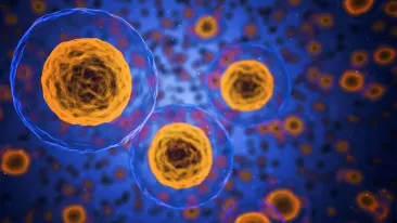 Cercetătorii au reușit să modifice o bacterie obișnuită din corpul uman ca să găsească tumorile și să elibereze medicamentul anticancer direct în ele
