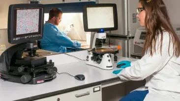 Cercetătorii israelieni și americani au dezvoltat un „pancreas artificial" care ar putea elimina nevoia injecţiilor zilnice cu insulină
