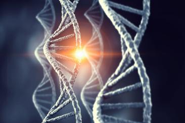 Cercetătorii încearcă să descopere secretele longevității în ADN-ul celor mai vârstnici oameni din lume
