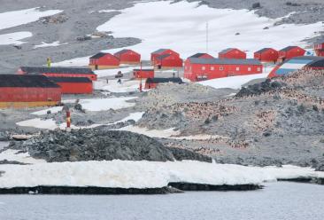 Cine vrea în Antartica? Se caută muncitori care vor câștiga peste 35.000 de euro pe an. Condiția e să faci față frigului și izolării
