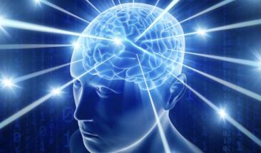 Computerele viitorului ar putea folosi neuroni umani. Un startup spune că a reușit deja
