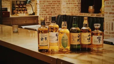 De ce unii oameni nu pot renunța la alcool, chiar dacă știu că le face rău