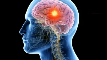 Descoperire șocantă: Mulți oameni au un parazit care trăiește în creierul lor ca-n Stargate și care le modifică starea și comportamentul
