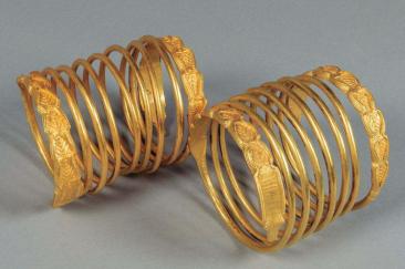 Descoperire uriașă în Gorj. Un angajat de la o firmă de salubritate a găsit un tezaur de pe vremea tracilor
