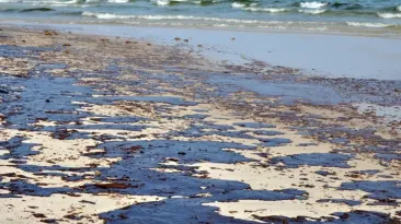 Dezastrul de pe litoralul din Bulgaria s-ar putea extinde și spre România: Tone de păcură au ajuns pe plaje și Marea Neagră este plină de reziduri petroliere