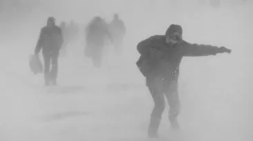 Lista drumurilor închise oficial sau blocate în urma Codului galben de ninsori și viscol - copaci căzuți, acoperișuri smulse și sate izolate