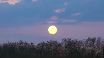 Luna „Căpșună" atinge apogeul în această noapte
