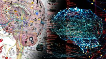 O hartă revoluționară a creierului uman: intersecția dintre neuroștiință și inginerie
