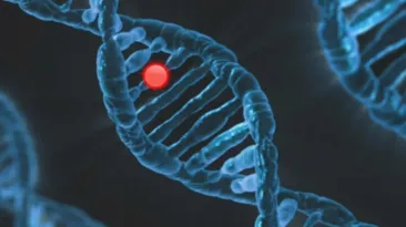 O nouă frontieră în medicina genetică: ARNt ar putea repara erorile de cod ale ADN-ului fără să modifice genomul