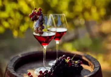 Peste 11 milioane de euro pentru modernizarea sectorului vitivinicol din România
