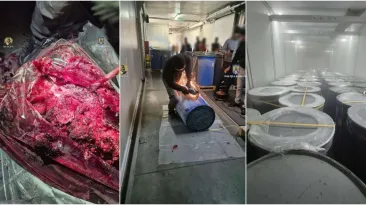 Predoiu bate câmpii ca la concurs: De la „3 tone de cocaină" la "9 grame obținute experimental". Unde a dispărut drogul din pulpa de fructe