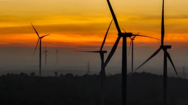 România, prinsă în capcana propriei energii verzi: o vinde ieftin ziua, o reimportă de șapte ori mai scump seara
