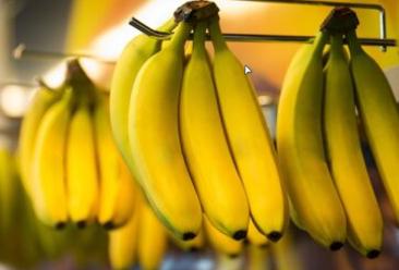 Ultima generație care mai mănâncă banane: Fructul preferat din toată lumea, pe cale să dispară în câțiva ani