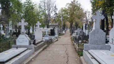 Un alt fel de pandemie: În Europa, între jumătatea lunii iunie şi jumătatea lunii august, au fost înregistrate peste 30.000 de decese în plus
