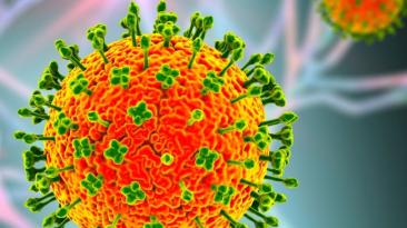 Un nou virus amenință lumea cu o pandemie: Simptomele bolii, mortalitate de 75%, fără vaccin și tratament
