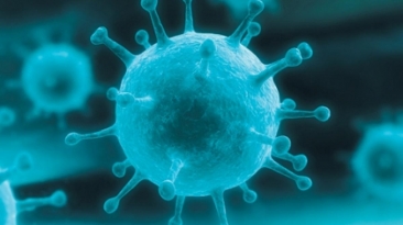 Virusul care ar putea distruge cancerul: Este extrem de comun!