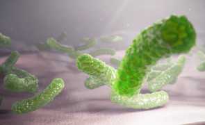 A fost descoperită cea mai mare bacterie din lume. Răstoarnă toate codurile microbiologiei
