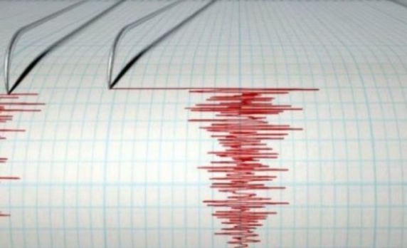 https://www.ziuanews.ro/static/i/imagini-articole/572/cutremur-puternic-n-vrancea-resim-it-i-la-bucuresti-1.jpg