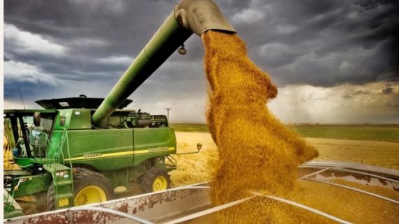 Daea are o mare problemă: Deja 70% din grâu a plecat la export!